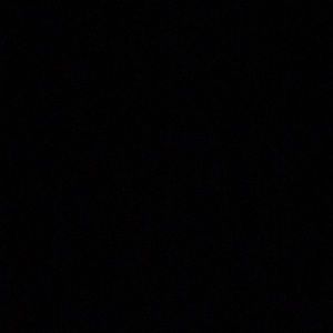 Meet your Posher, Bailey